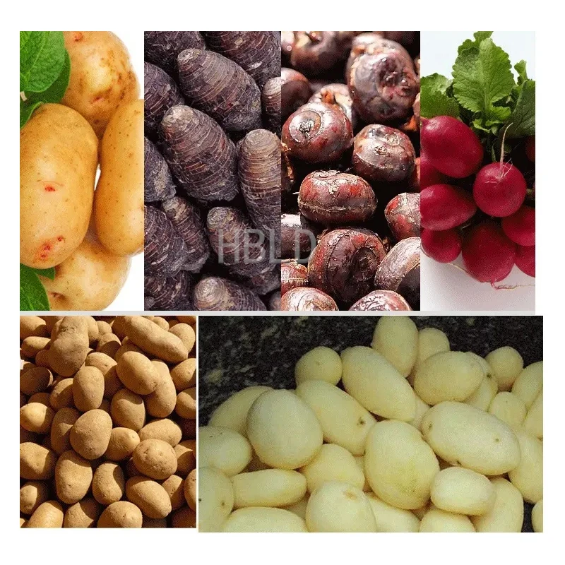 HBLD Commercial Potato Peeler  - Commercial Potato Peeler 评论和价格